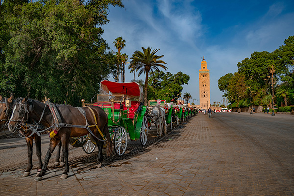 calèche marrakech