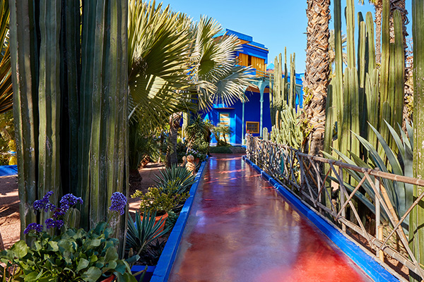 les jardinsMajorelle au Maroc